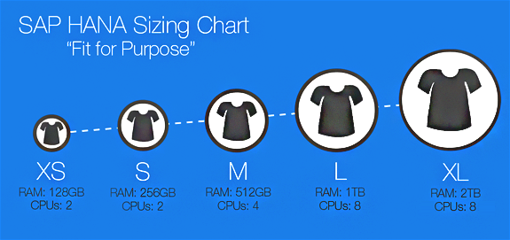 SAP HANA (High Performance Analytical Appliance) Size2.png