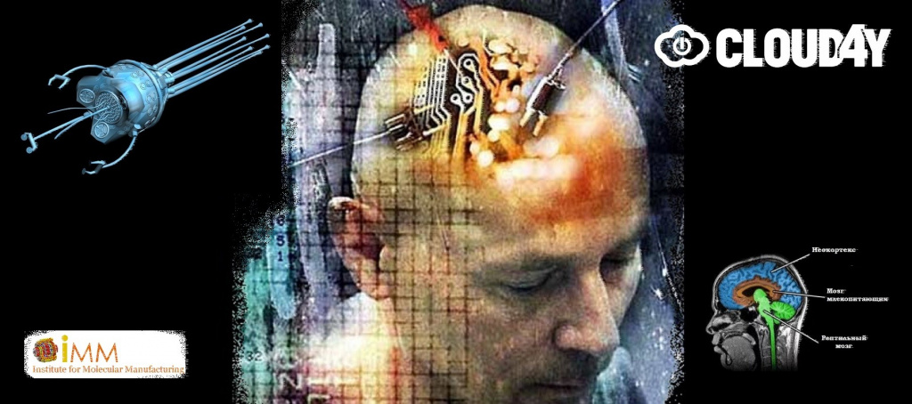 neuro.jpeg neuro.jpeg