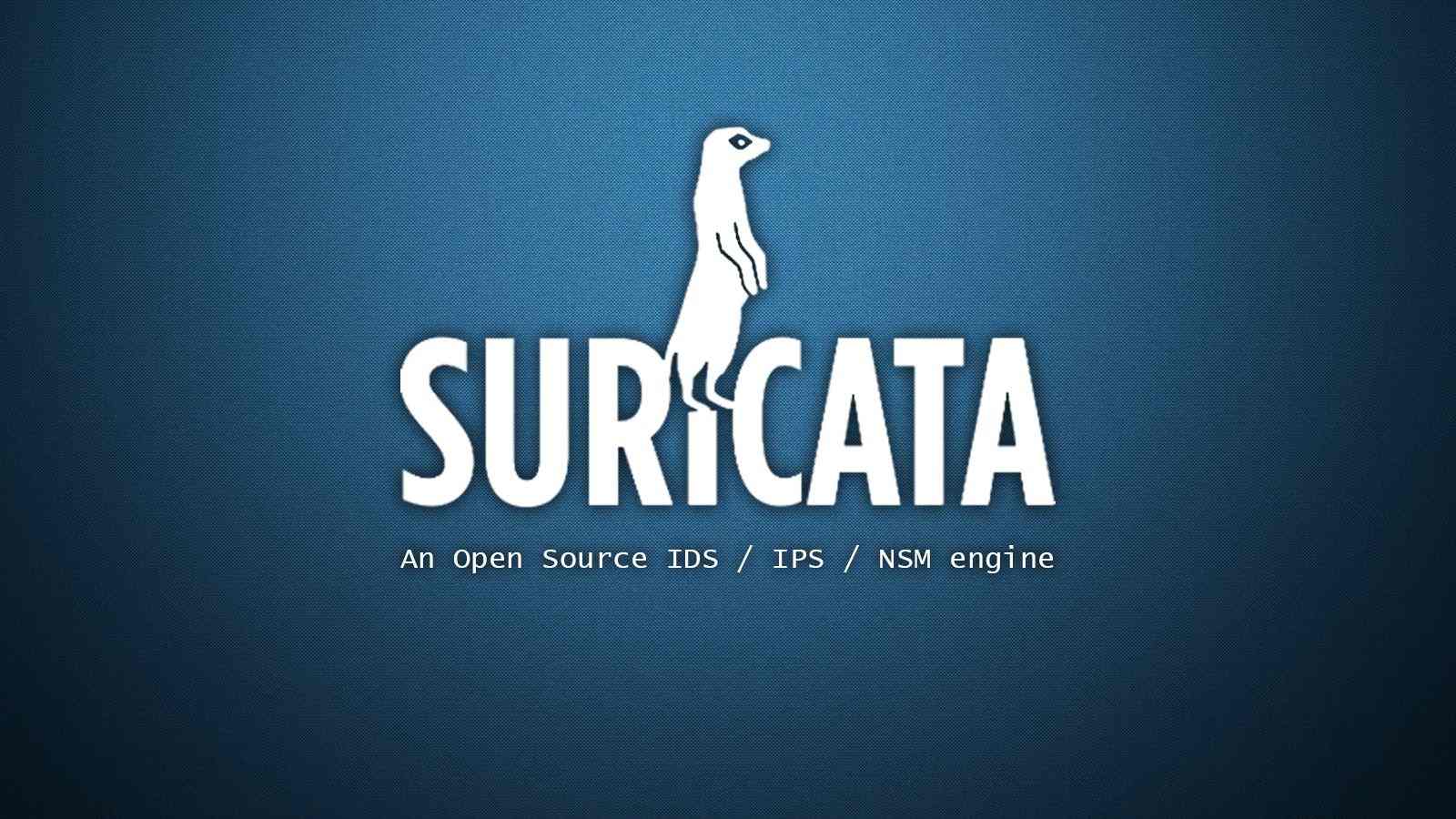 Suricata