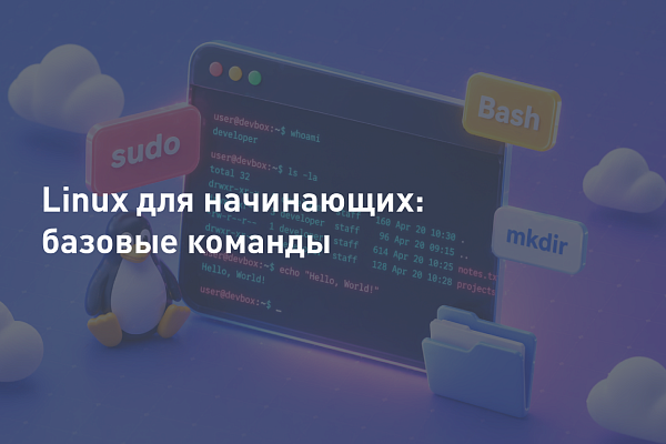Linux для начинающих: базовые команды