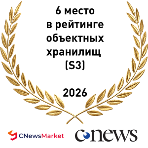 CNews 6 место хранилища s3