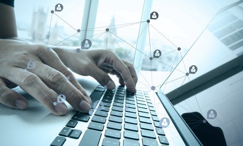 гибрид.jpg гибрид.jpg